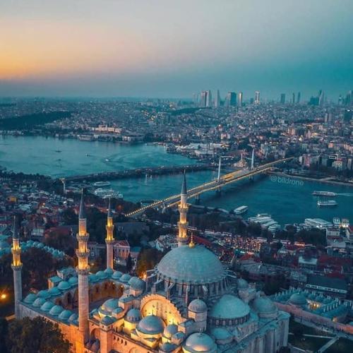 Estambul trasplante capilar 12